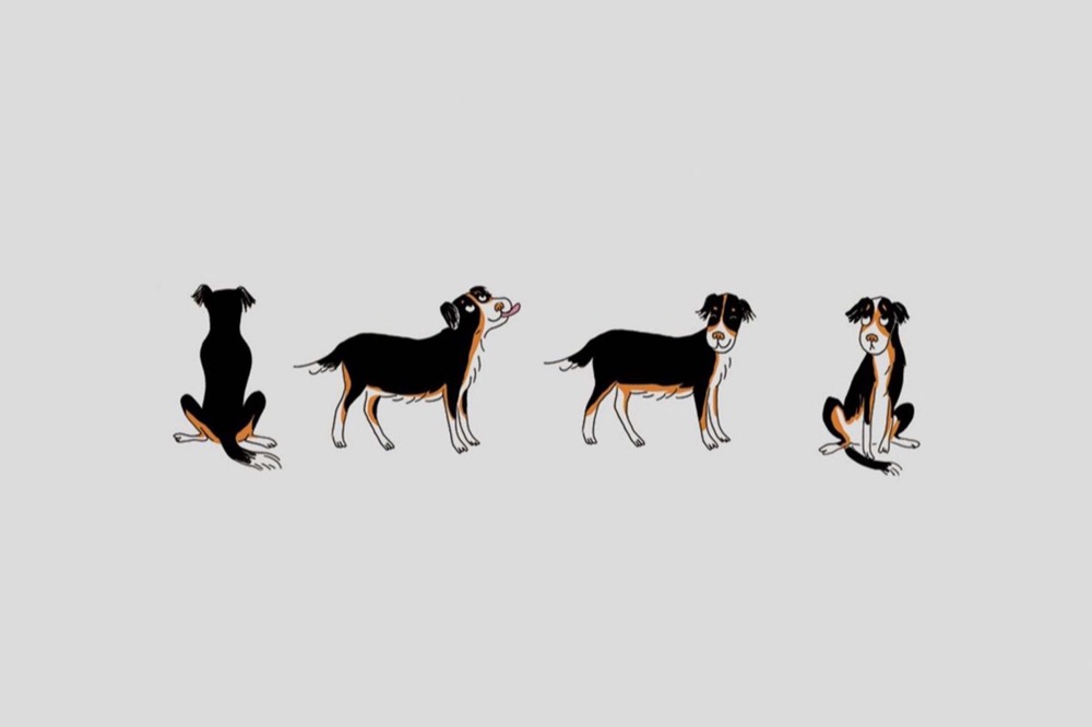 Imagen del proyecto Artrosis Animales para Merial